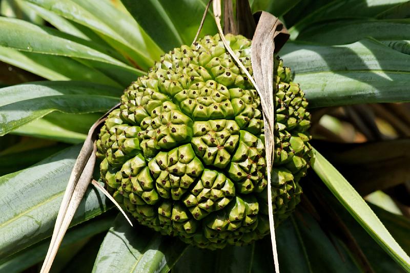 2007 05 16 Fraser Island 011_DXO.jpg